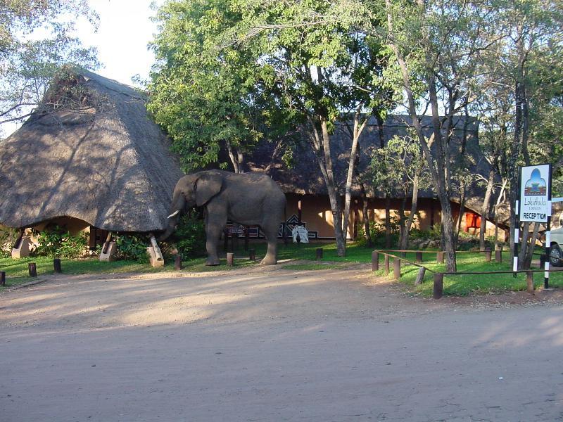 Lokuthula Lodges Водопад Виктория Экстерьер фото